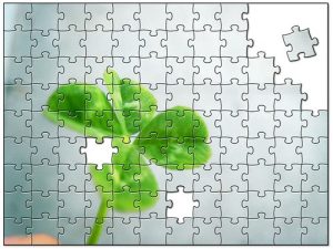 four leaf clover jigsaw puzzle